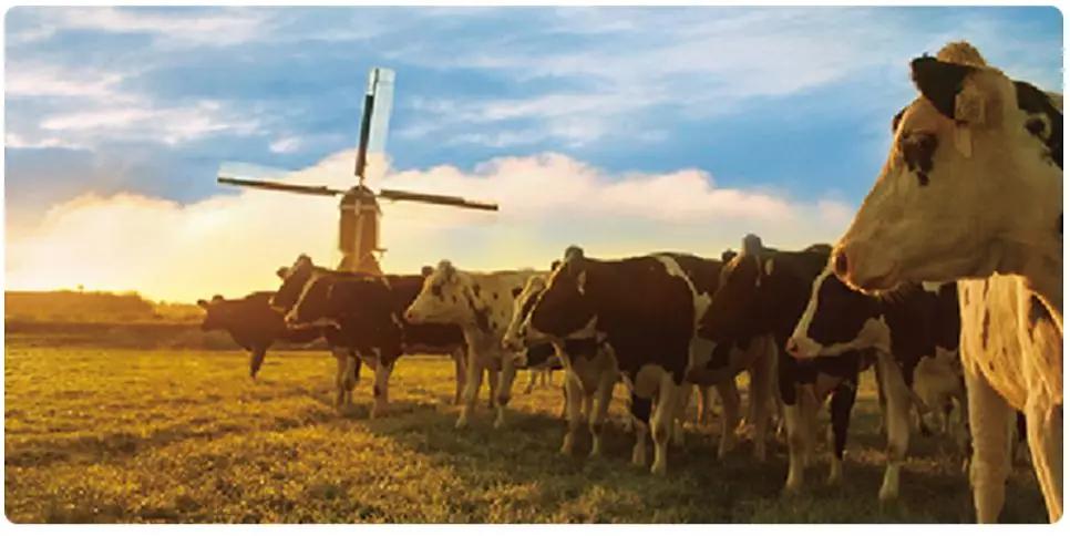 海淘奶粉在哪买比较可靠,海淘奶粉怎么在网上买