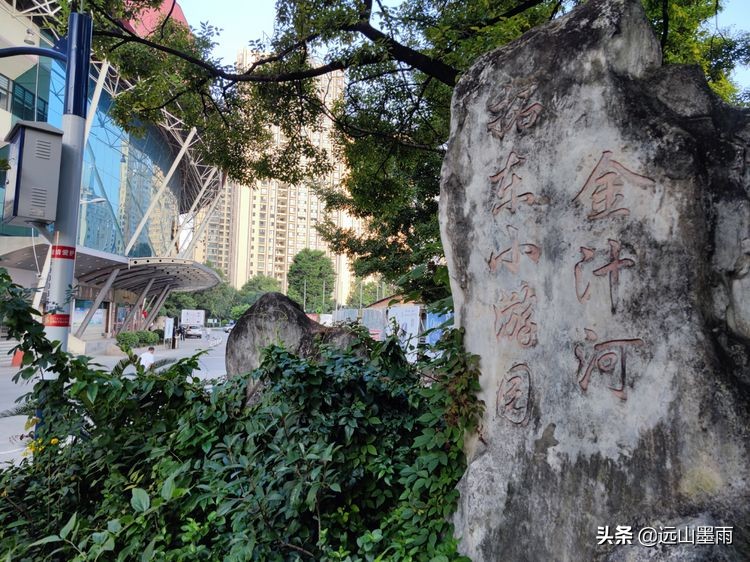 绿树成荫林荫小道,绿树成荫的小路视频