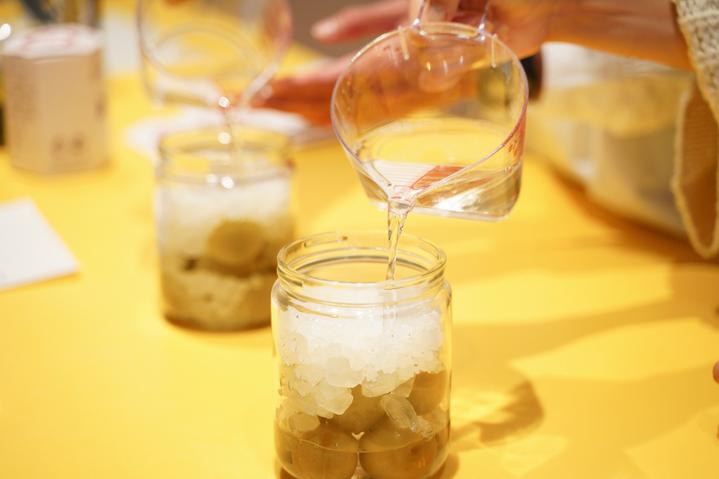 日本九州特急火车,日本九州观光火车攻略