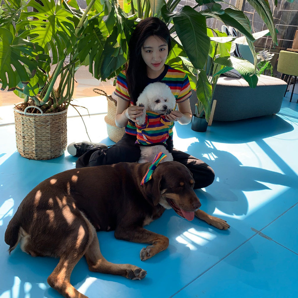 李菲儿照片白衣,李菲儿穿白色简约t恤