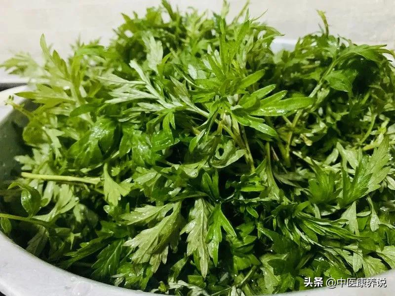 #药食同源篇#第七十六课“长寿草”艾叶