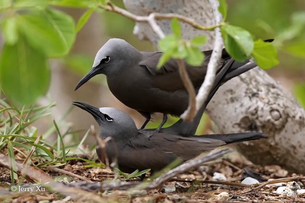 情人节适合干什么事,情人节对方做过最让你感动的事