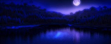 「新闻资讯」小米CC昨晚发布，比邻优选官网价现货发售，顺丰包邮