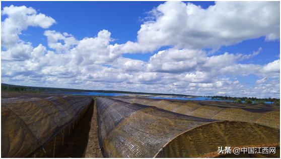 汇仁工厂供应链,汇仁药业极致品质从源头开始