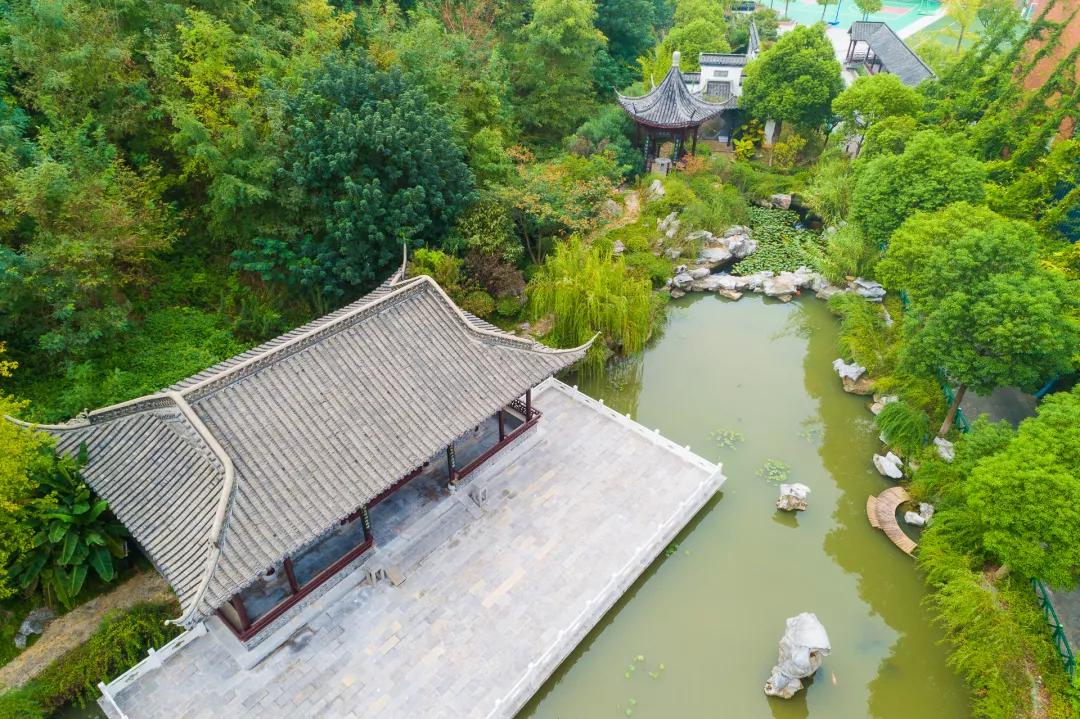 南京金陵小学仙林学费,南京市金陵小学仙林湖校区学费