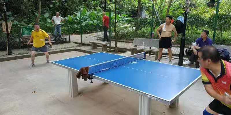 乒乓球的知识乒乓球术语,乒乓球常用术语大全