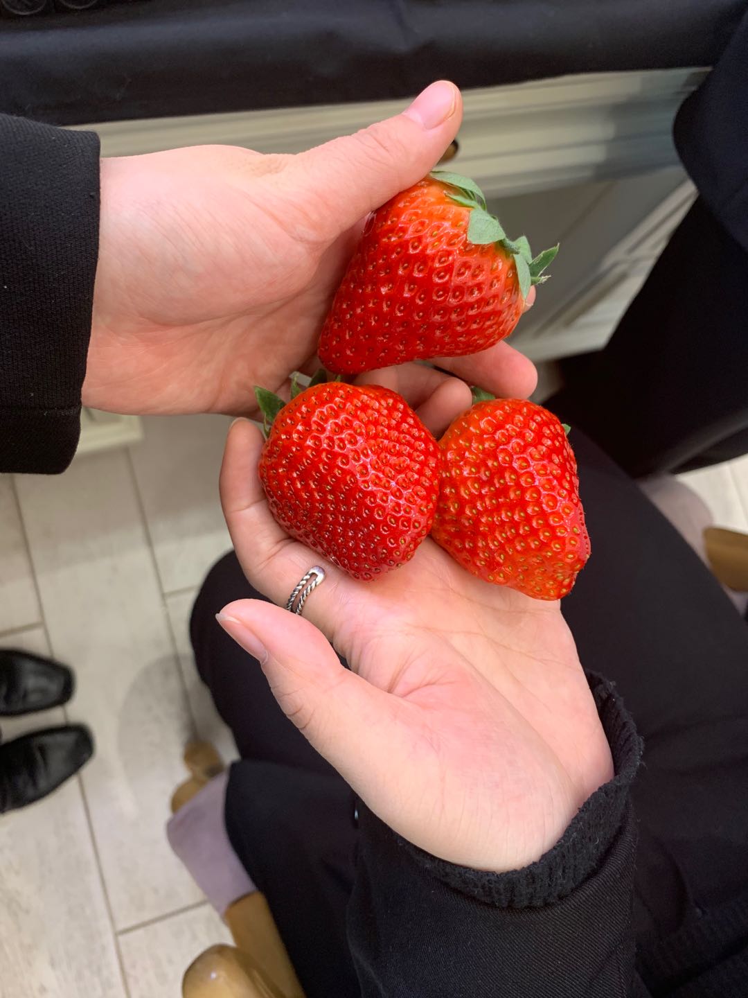 东港草莓一斤多少钱,丹东东港99草莓苗预定