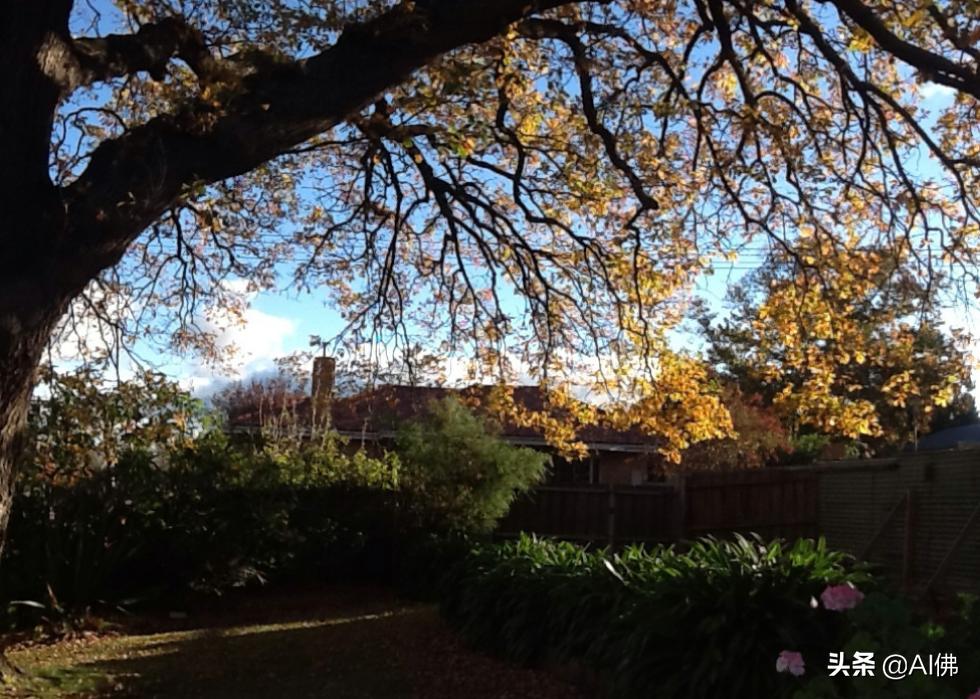 美国康奈尔大学校园风景,美国校园美景
