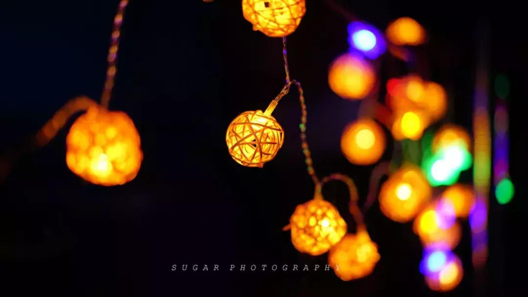 「亲子游」与万千海洋动物一起，夜宿探索极地海洋之美