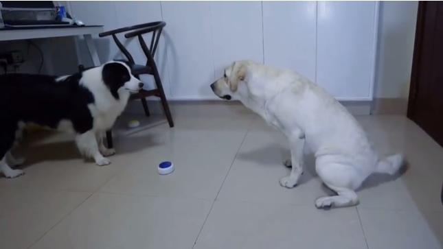 在网上买的盲盒靠谱吗,别盲目买盲盒