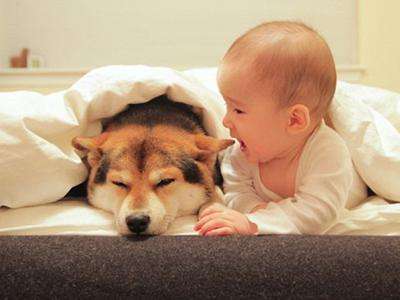 中国食品公布寄生虫最多的食物,儿童体内寄生虫吃什么食物好