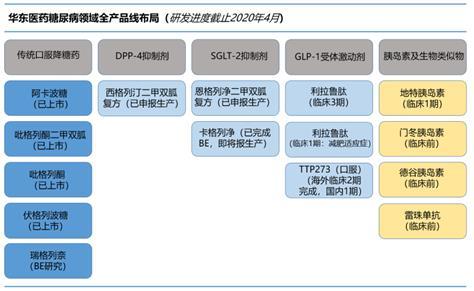 国内糖尿病药龙头企业,糖尿病新药市场前景