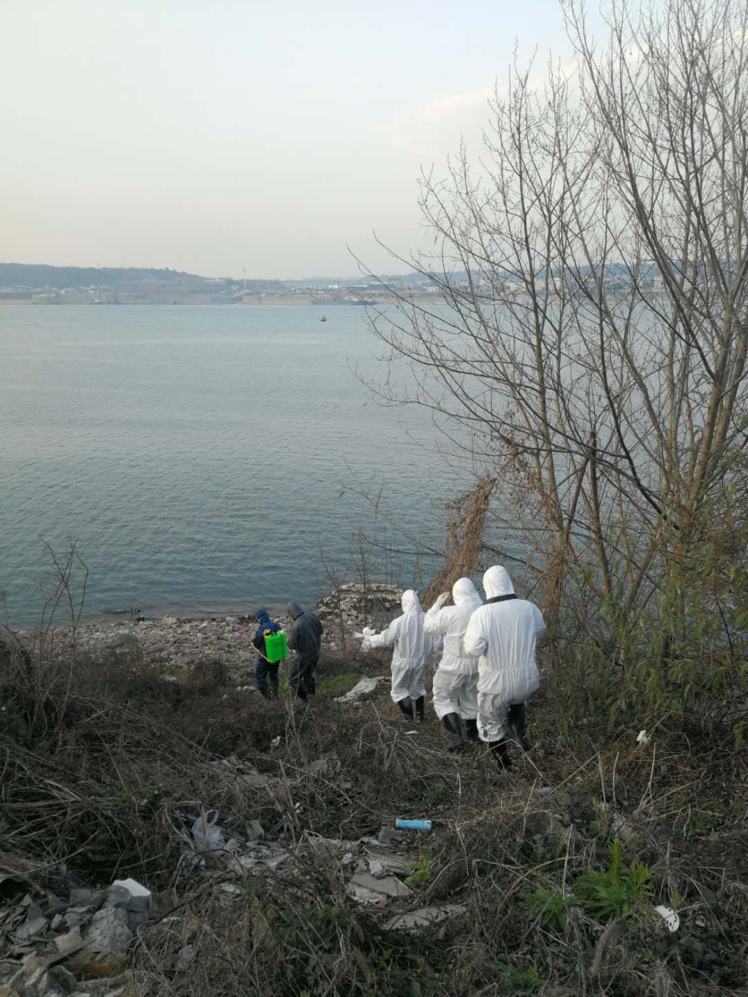 疫情当前警察不退警徽闪耀党旗红,公安局战疫工作情况