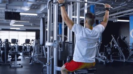 7个基础健身动作训练计划,零基础健身计划动作要领