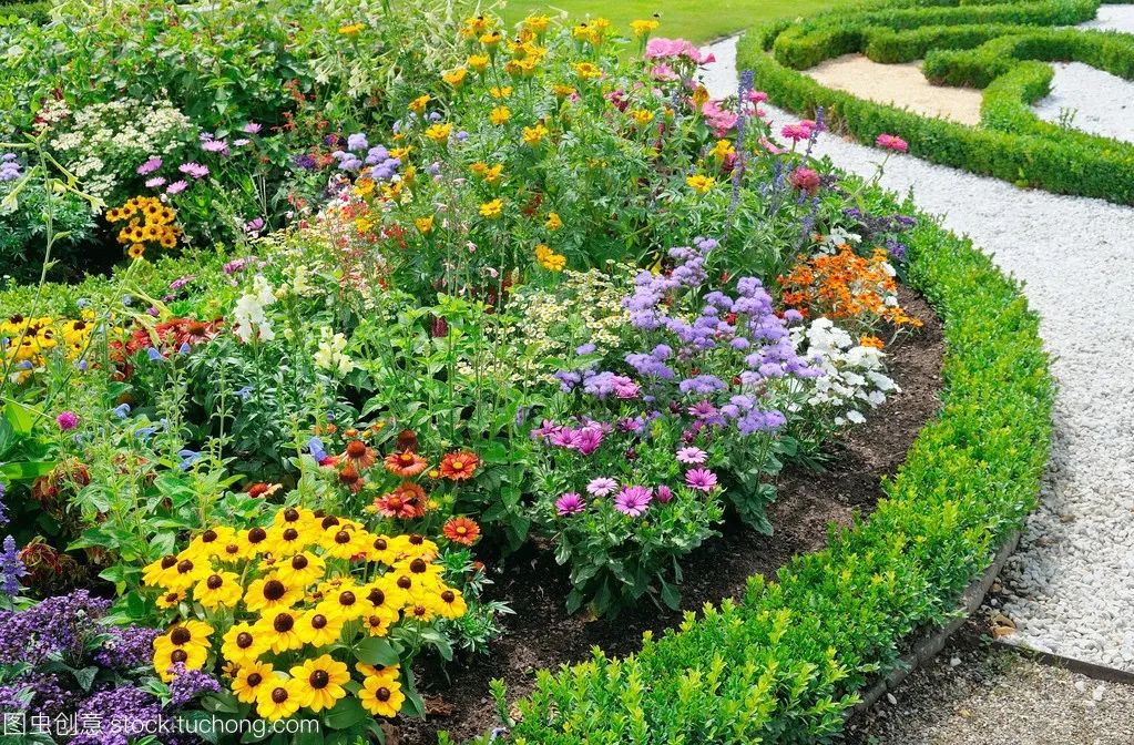 笑谈种树的艺术——看园林专业的魅力