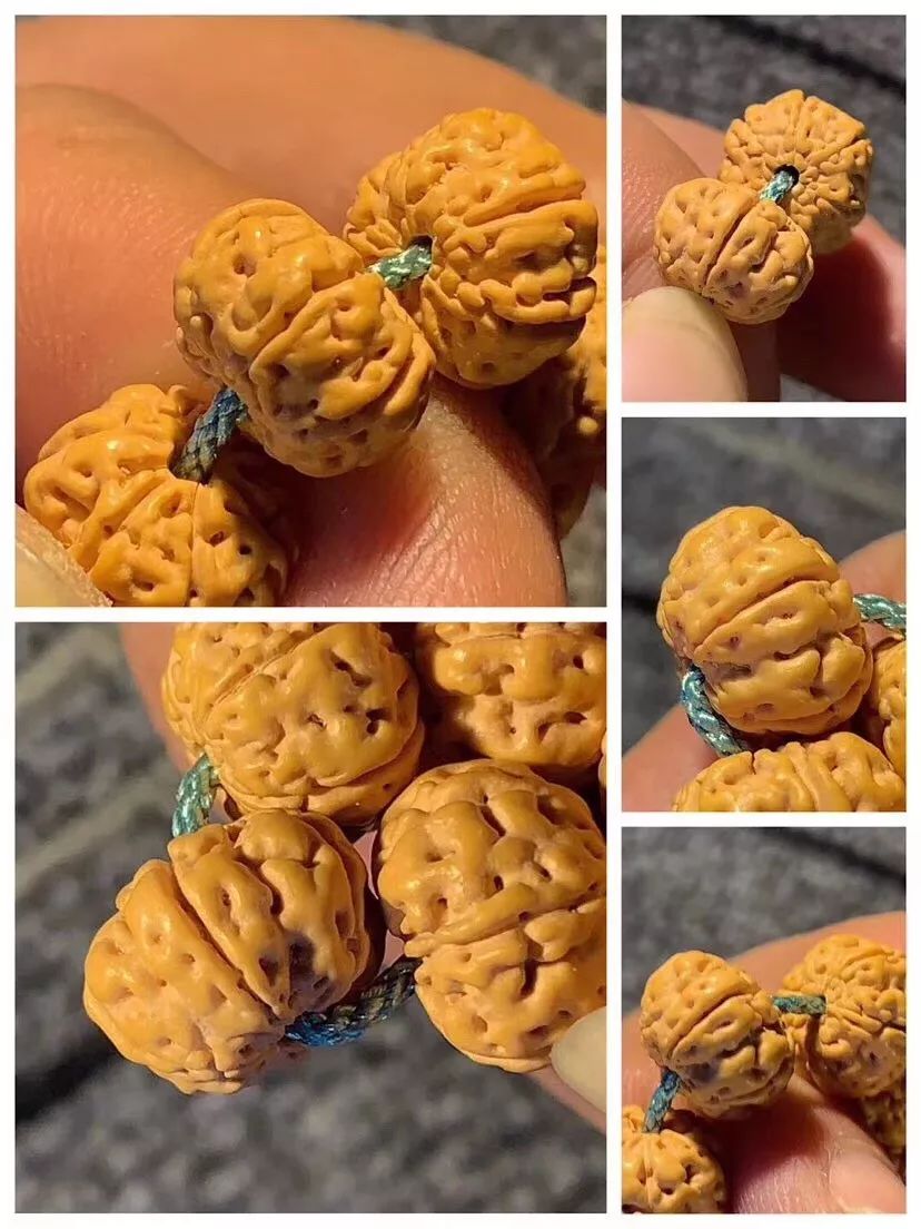 大金刚和小金刚哪个好玩,新手推荐小金刚还是大金刚