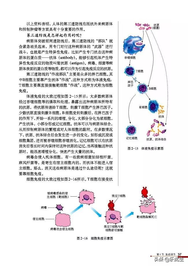 高中生物必修3电子教材,必修三稳态与环境的知识点人教版