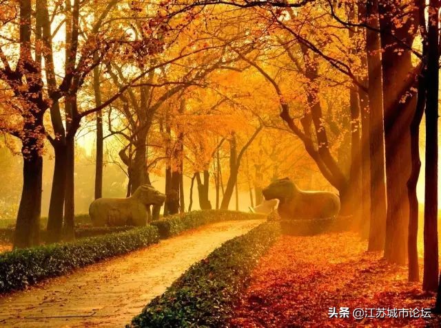 台湾学生拍电影,台湾mycity