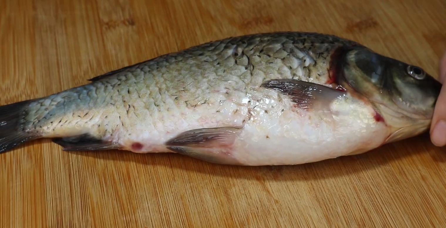 鱼的四个部位毒素最强,鱼身上4个部位千万别吃