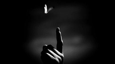 梦知道答案：你才是最好的解梦人