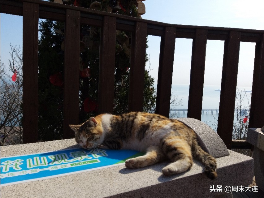 大连莲花山风景区,大连莲花山和森林公园