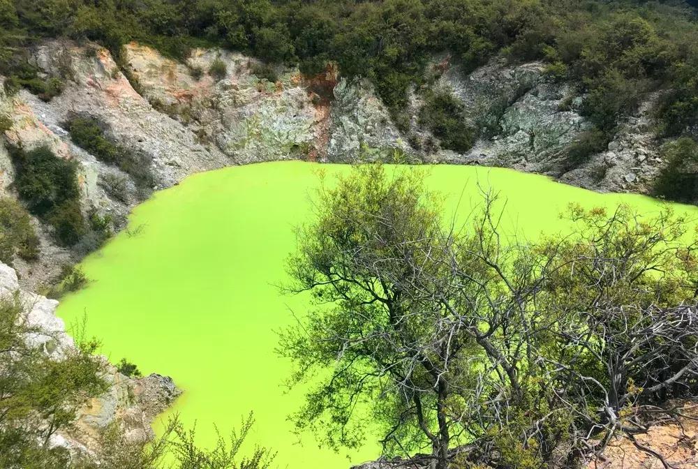 比国内油价还高三四块！这地方奔驰不如日系车受欢迎！