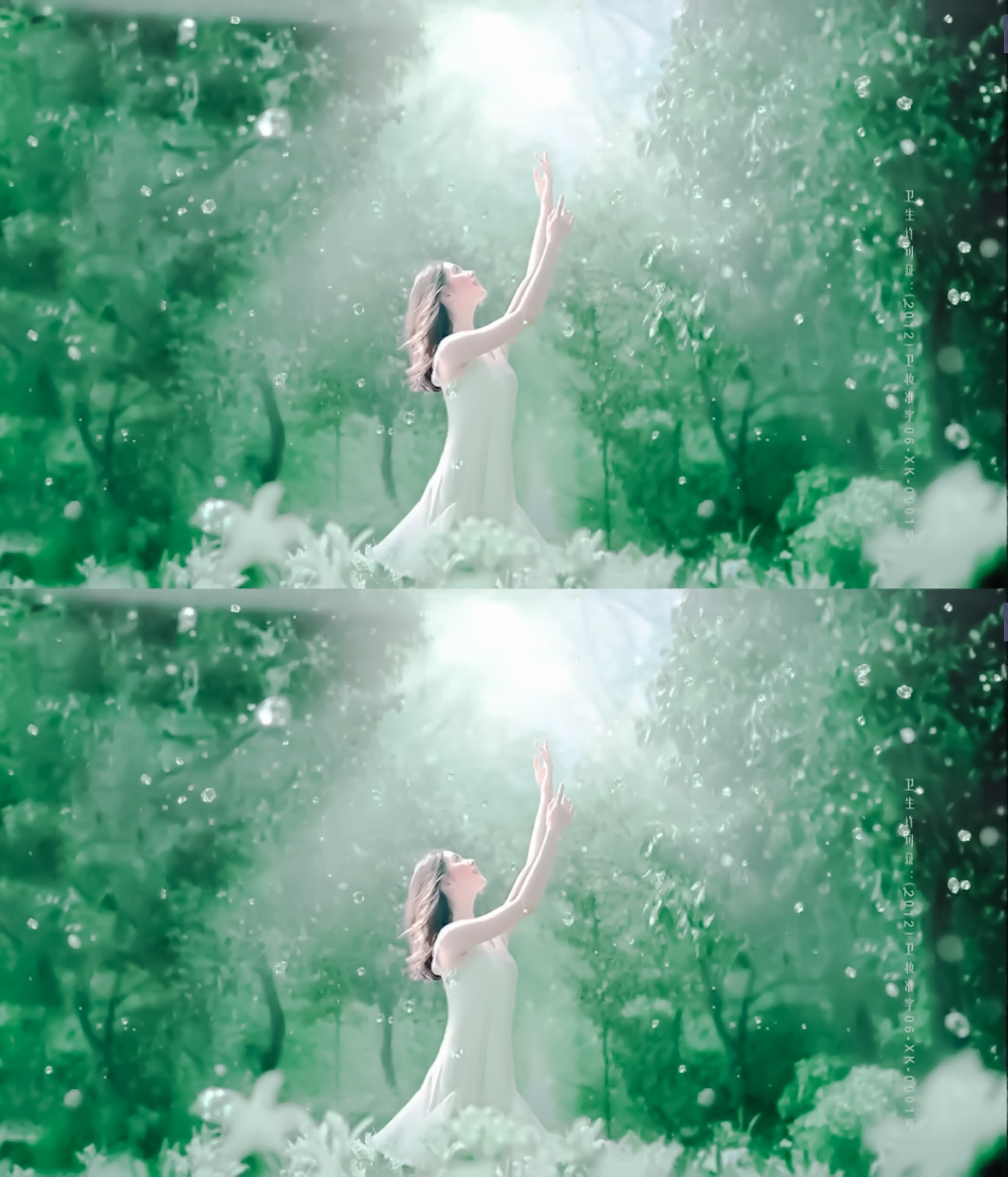 刘诗诗上海参加相宜本草活动图片,刘诗诗相宜本草旗袍