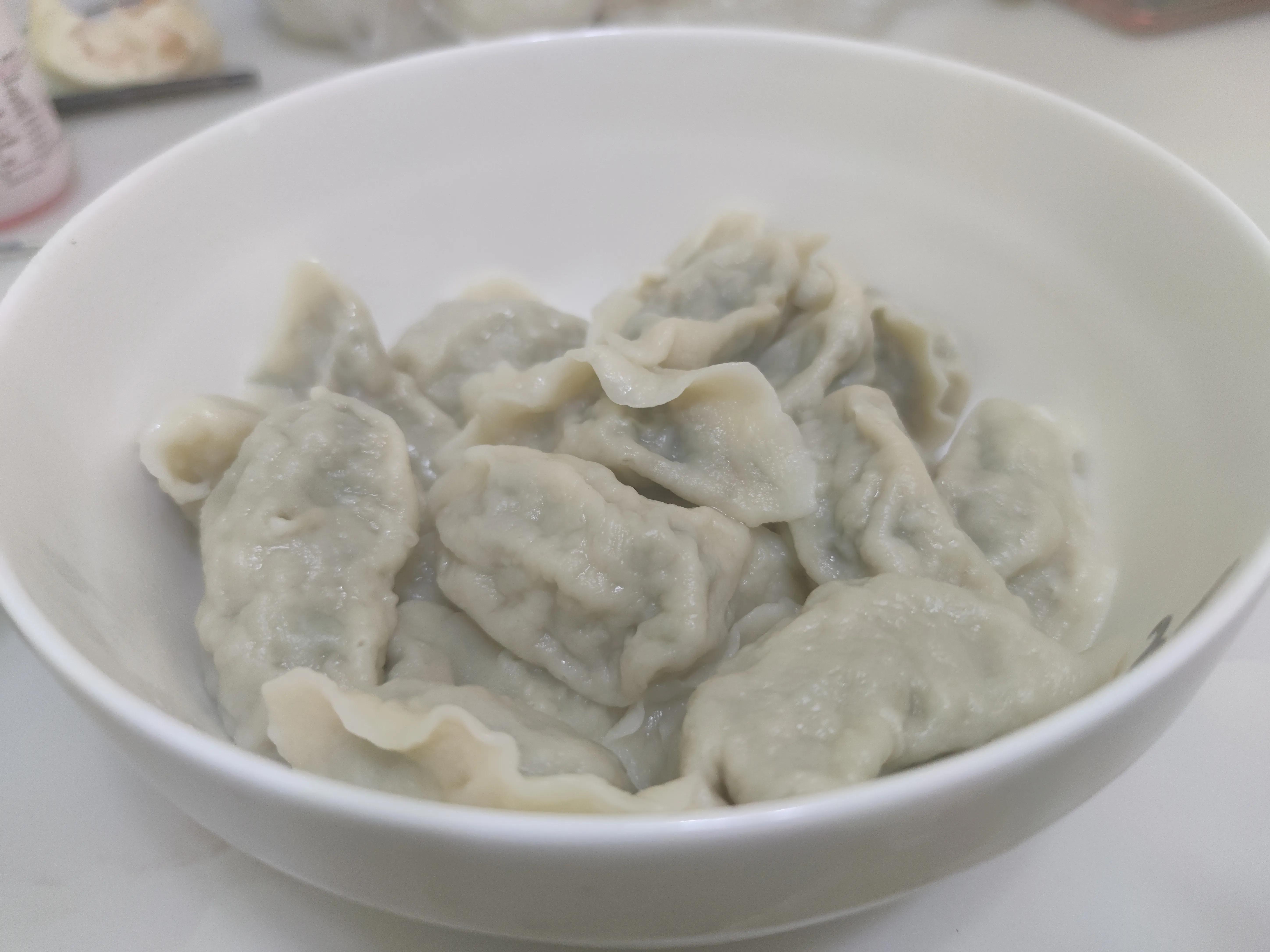 茴香馅饺子视频,茴香馅饺子怎么做好吃