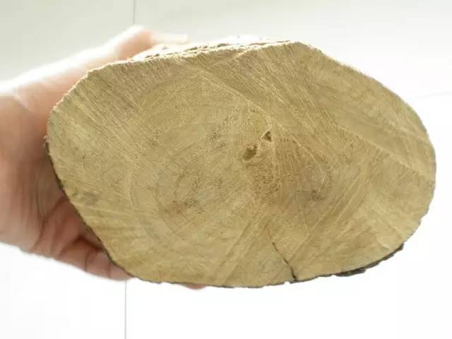 木头知识大全100条,木头种类大全及图片