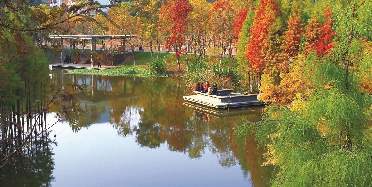 宜昌70岁以上老人免费景点,宜昌70岁高龄补贴