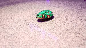 狂卖100000000+只，滨湖新开的这家牛蛙店，...