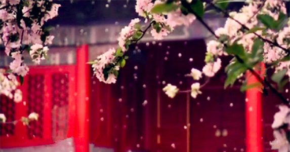 故事：她从酒娘一跃成王爷侧妃，腹中孩子没了后，王爷态度变了