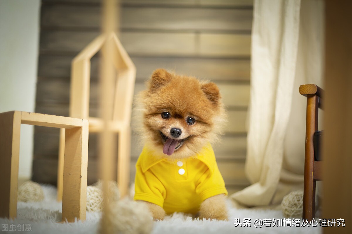 如何处理内心的孤独,我们该如何处置内心孤独