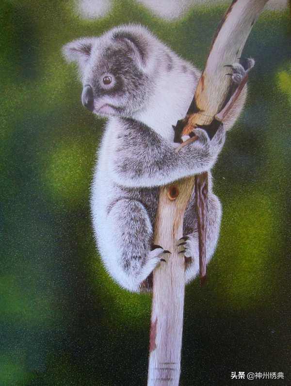 中国的奢侈品刺绣,刺绣奢侈品女装