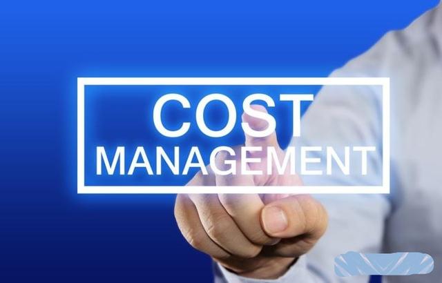 工程项目的成本管理,工程项目成本管理论文