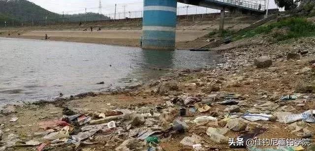 港里钓的鱼有柴油味儿能吃吗,钓的鱼有柴油味能吃吗