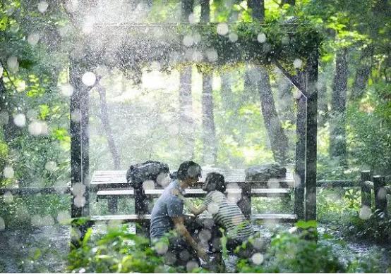 一次出轨终身不忠,一次不忠终身不用的爱情能原谅吗