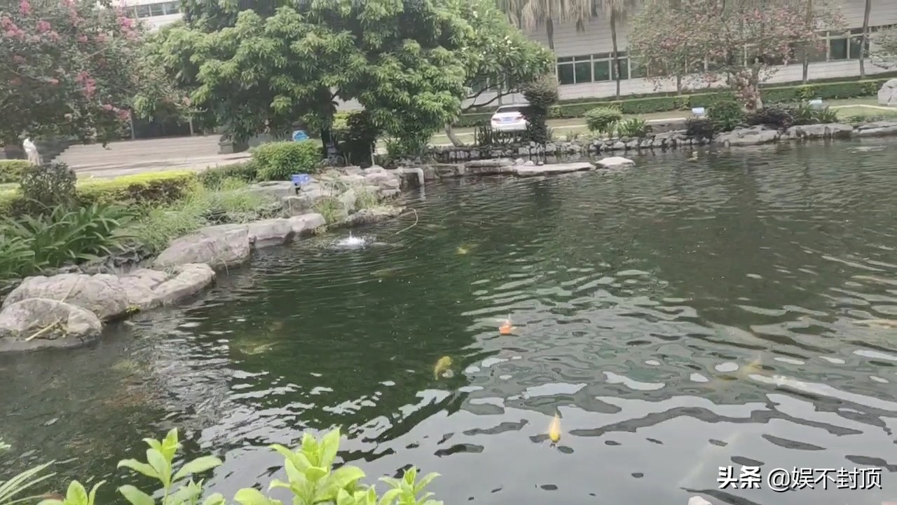 东莞石碣电子厂做什么的,东莞石碣有多少个电子厂