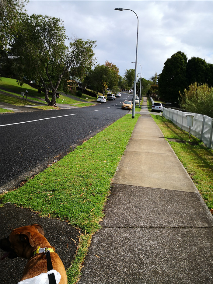 新西兰居住时间,新西兰居家办公