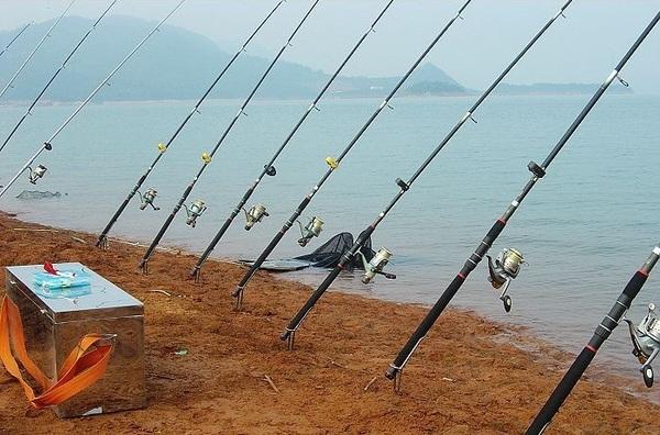 海竿钓鱼抛竿技巧视频教程,海抛竿钓鱼技巧