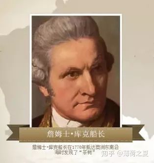 澳洲茶树如何培育,杀菌作用大的植物