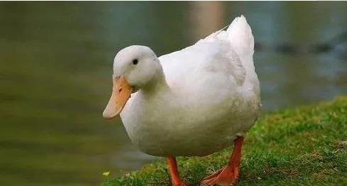 我们就是死不悔改的人，你愿意改变吗？