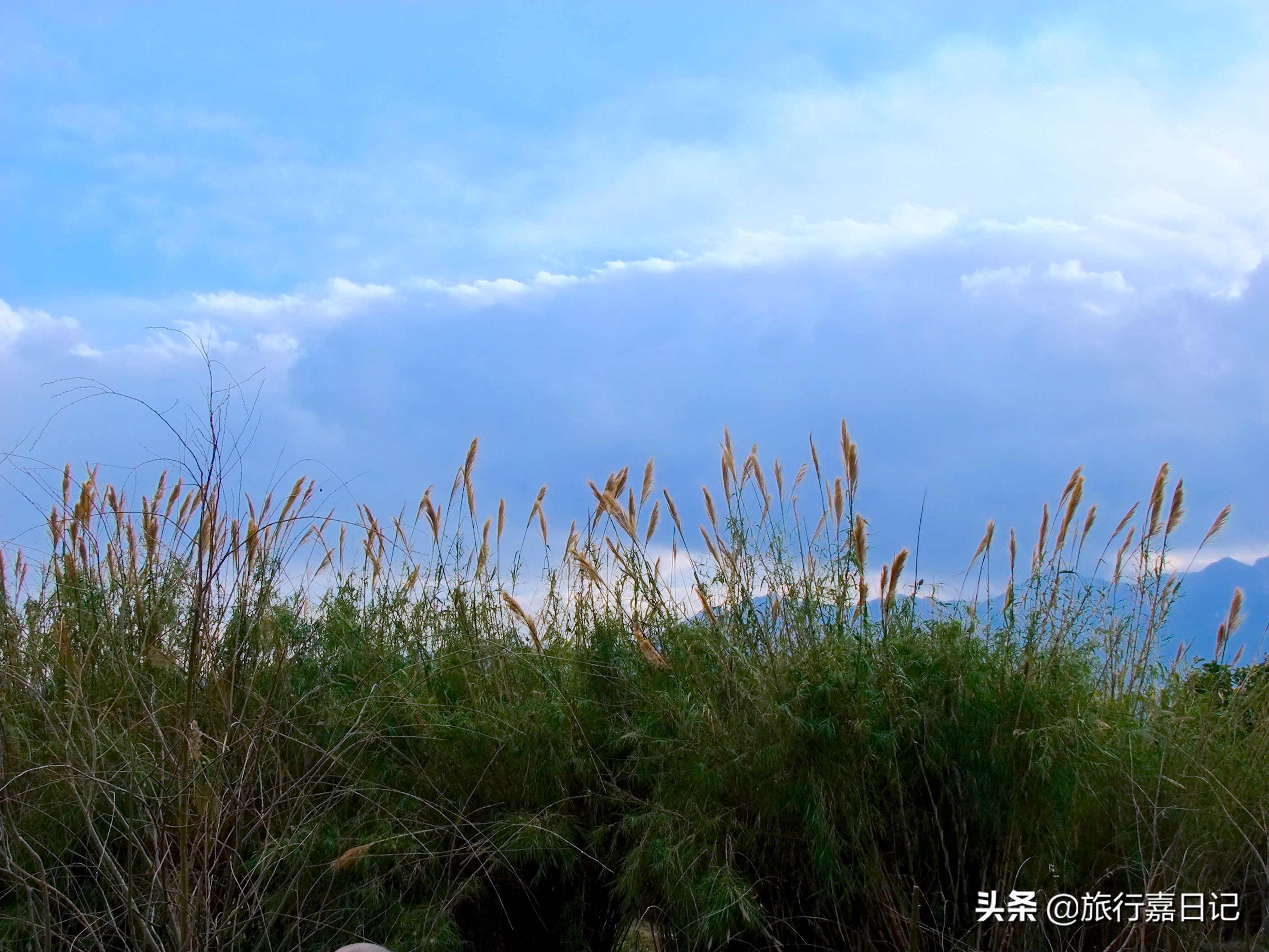 大理是个值得反复去的城市,大理不建议去的几个地方