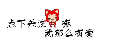 你了解小短腿柯基吗？很多人都对柯基有误解，你可能也中招了