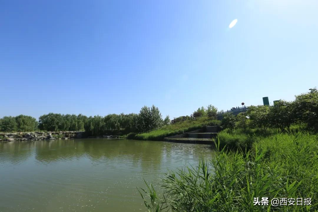 西安免费公园,西安公园免费景点推荐