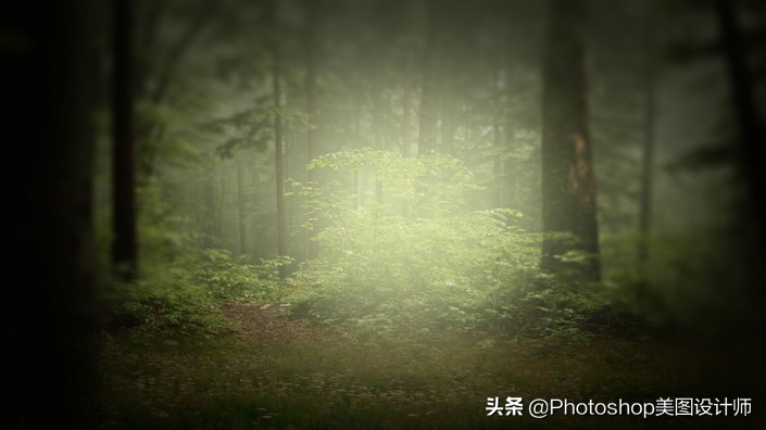 新手怎么快速学会ps,新手如何学习ps