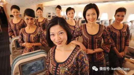 新加坡酷航迫降,万米高空飞机返航