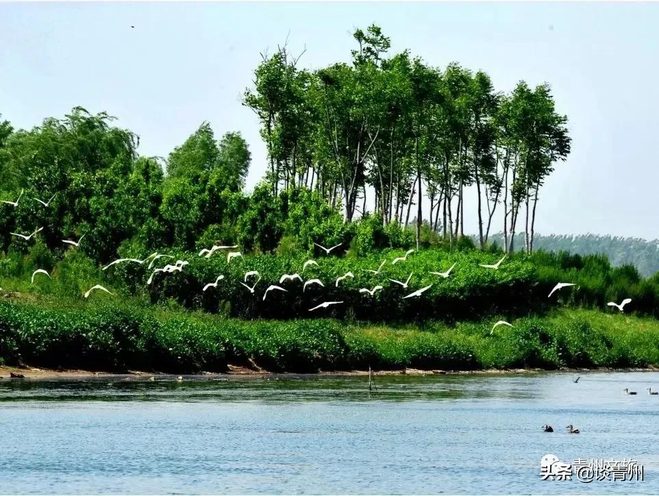 青州市区景区地图,青州全域旅游