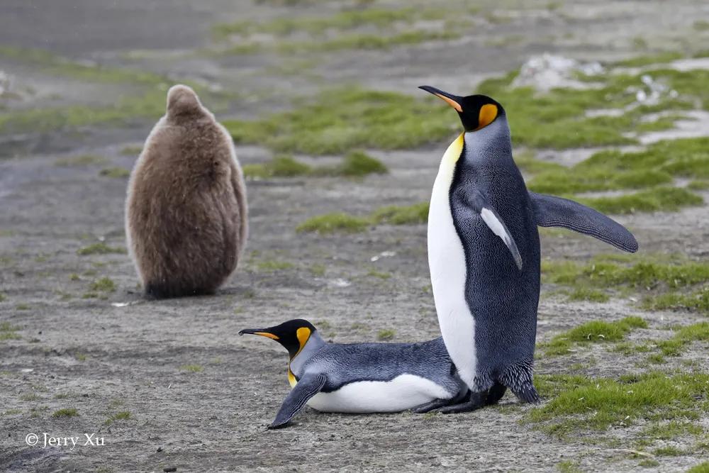 情人节适合干什么事,情人节对方做过最让你感动的事