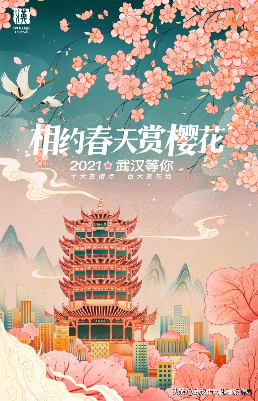 花young官方购票,花young套餐29元103g联通